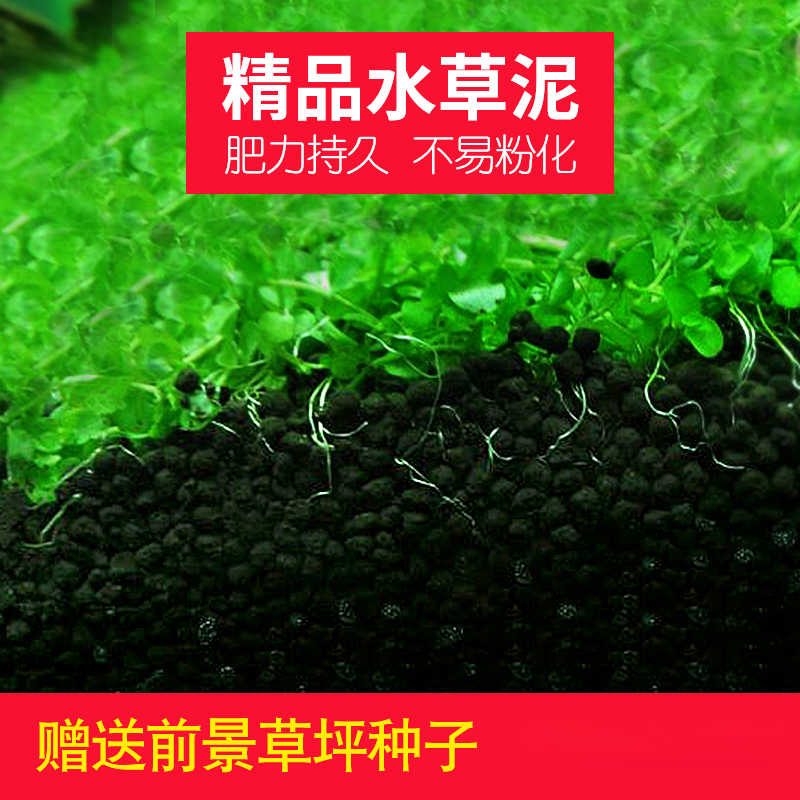 低温水草 新人首单立减十元 21年9月 淘宝海外