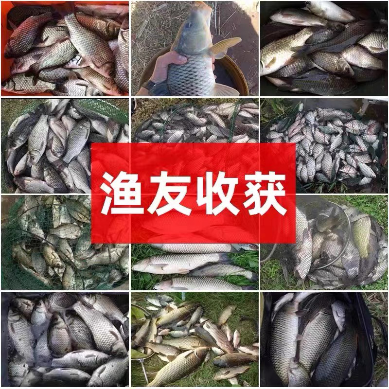 德国信息素小药野钓黑坑鲫鲤草青鳊南北四季通用钓鱼喷雾剂添加剂,淘宝优惠券,粉丝福利购,淘宝优惠卷