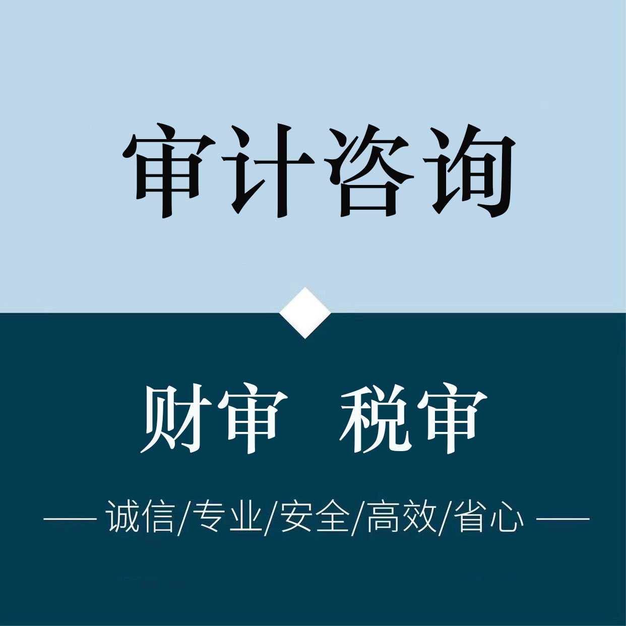 财务审计服务