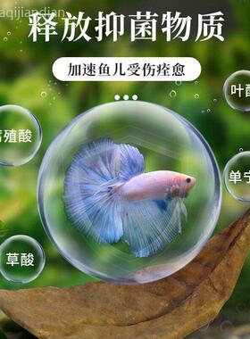 泰国斗鱼适用榄仁叶酸碱度调节养龟龙眼叶鱼缸ph调节剂懒人叶造景