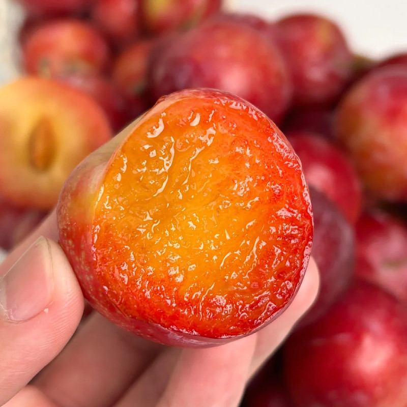 顺丰发货空运智利进口樱桃李子红心时令新鲜孕妇水果多汁整箱包邮,淘宝优惠券,粉丝福利购,淘宝优惠卷