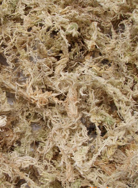水苔 蝴蝶兰专用营养土优质无菌压缩干苔藓无土栽培介质基质保湿