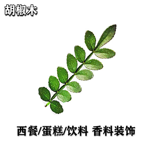 清香木烘焙装饰叶子胡椒木绿植植物盆栽小苗蛋糕店绿色薄荷叶点缀 - 图2