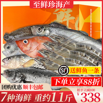 Seafood Gift Box Year Goods Great Gift Package Package Combo Frozen Fresh Year stock Zhoushan Dalian Qingdao Shandong high-end