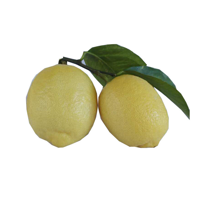 京溪园旗舰店四川安岳黄柠檬一级果大果5斤7-15个新鲜水果皮薄多汁 柠檬新鲜3