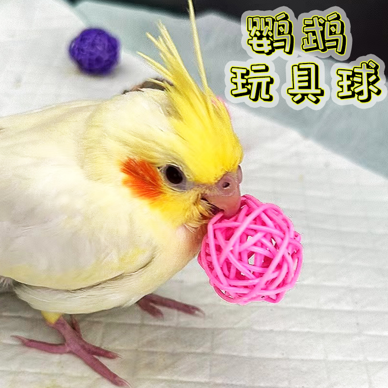 鹦鹉藤球啃咬玩具玄凤虎皮牡丹鸟觅食训练陪伴磨牙互动益智力用品-图0