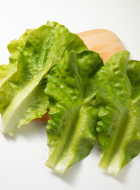 仿真生菜叶子模型装饰火锅摆盘