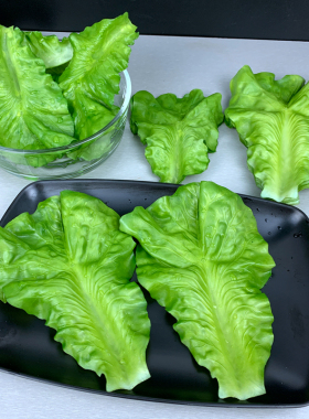 大号生菜叶模型蔬菜叶子装饰垫盘