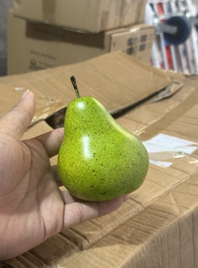仿真香梨泡沫假水果新疆梨模型早教认知道具玩具拍照美术写生摆件