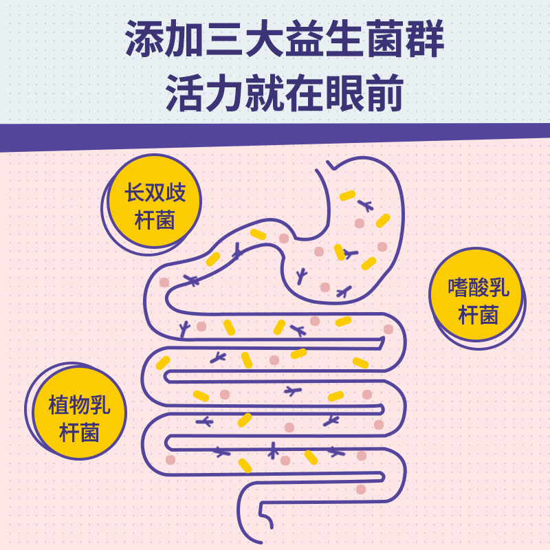 百邦保健品旗舰店百邦植物益生菌酵素粉孝素水果蔬复合夜间进口原料非台湾果冻梅条2