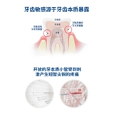 Стоматолог 呗 呗 鼋 鼋 粜滓 粜滓 粜滓 扪 扪 莼 莼 莼 莼 莼 谄 谄 谄 谄