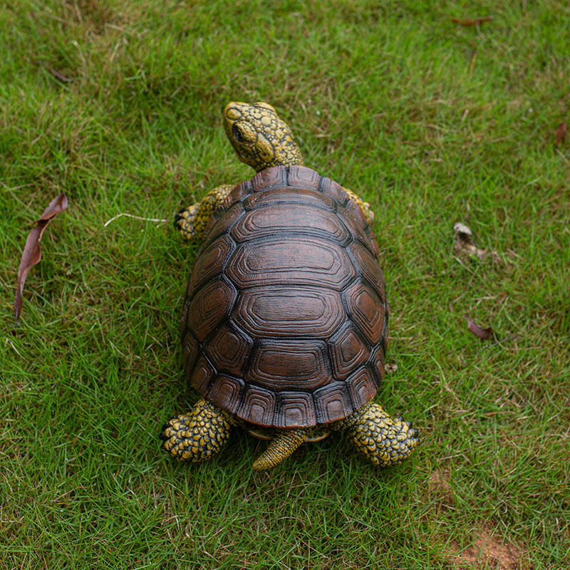 图 5