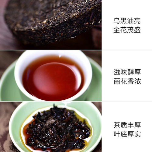天福茗茶2023兔年生肖饼瑞兔献福安化黑茶金花茯茶茶叶礼盒488g - 图1