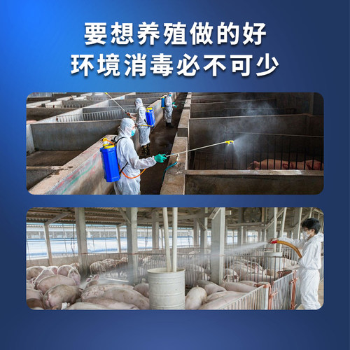 过硫酸氢钾消毒剂猪用养殖场卫可非瘟消毒液水产养殖兽用消毒粉 - 图2