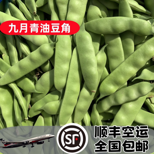 东北油豆角一点红九月青个大开锅烂现摘现发顺丰空新疆西藏包邮 - 图1