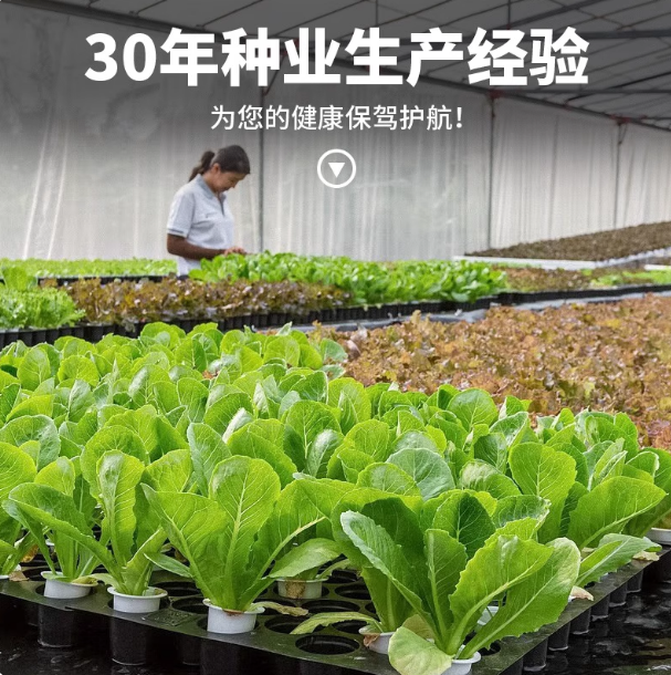 蔬菜种子大全四季青菜种植种籽萝卜籽白菜茼蒿线椒王马齿苋生菜籽,淘宝优惠券,粉丝福利购,淘宝优惠卷