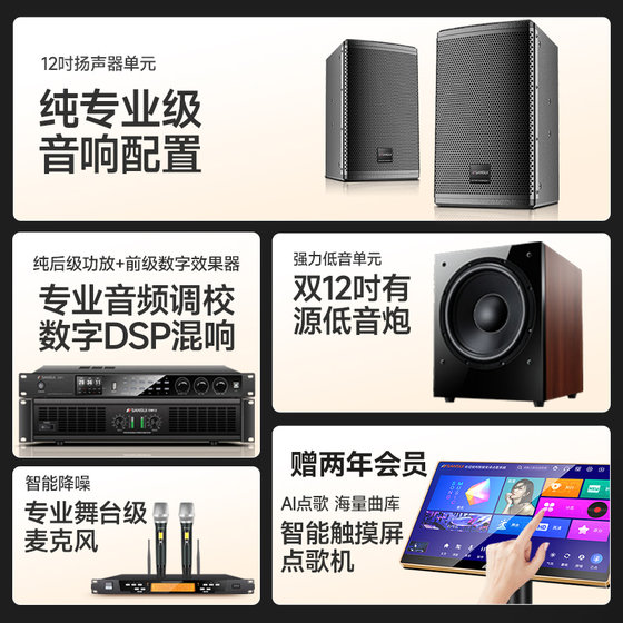 山水DM12家庭KTV音响套装卡拉ok机全套家用影院K歌点歌机音箱设备