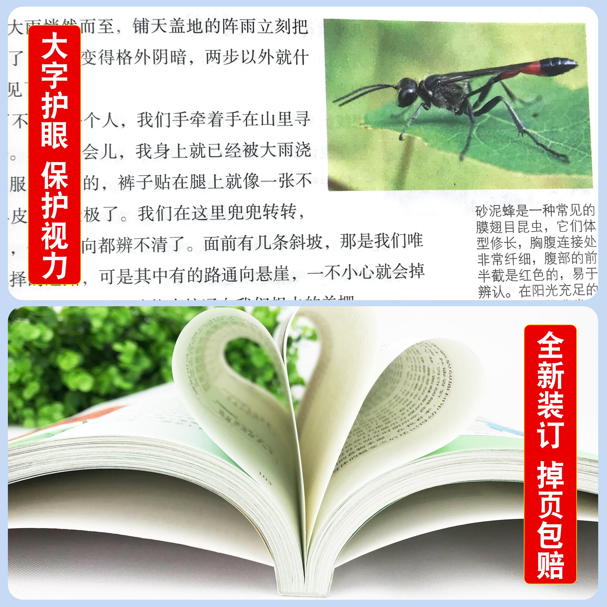 昆虫记法布尔正版小学生三年级下册 彩图美绘四年级上册原著完整版八年级上册阅读课外书必读全套一青少年朱月玲推荐名著读物原版 - 图2