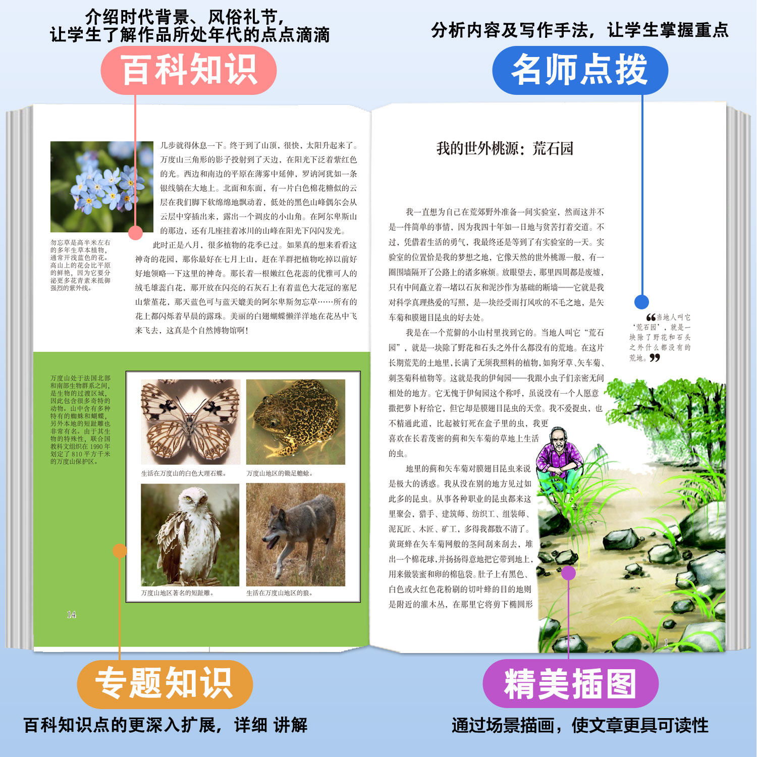 昆虫记法布尔正版小学生三年级下册彩图美绘四年级上册原著完整版八年级上册阅读课外书必读全套一青少年朱月玲推荐名著读物原版-图0