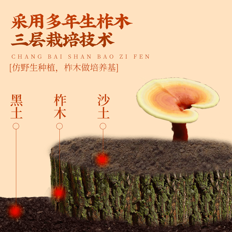 灵芝孢子粉官方旗舰店正品破壁长白山增强灌装免疫力的功效作用