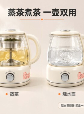龙力1.0L玻璃电热水壶煮茶蒸茶