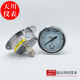 Hydraulic Shanghai Axial Seismic Pressure Gauge