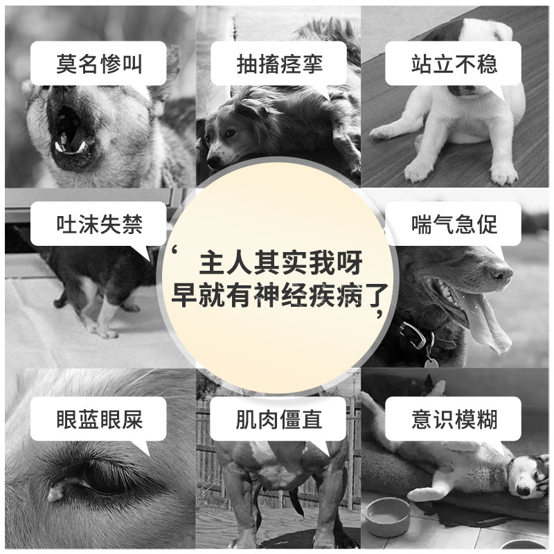 猫狗神经修复猫咪狗狗神经炎猫瘟犬瘟抽搐瘫痪甲钴胺后腿无力癫痫 - 图0