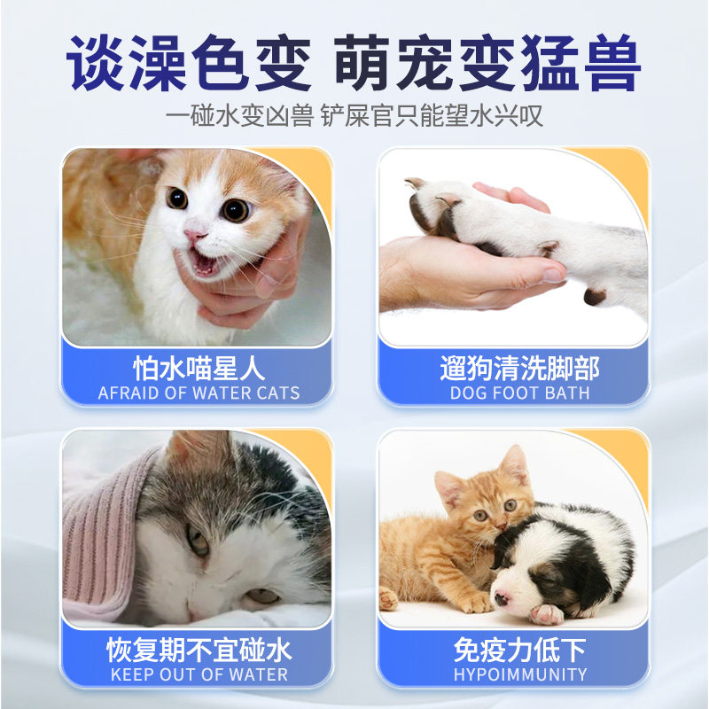 鑫安宠物免洗手套清洁擦脚猫咪湿巾狗狗洗澡洗猫用品干洗神器,淘宝优惠券,粉丝福利购,淘宝优惠卷