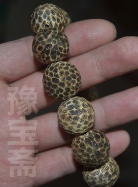 加里曼丹佛珠手串男女款印尼沉香