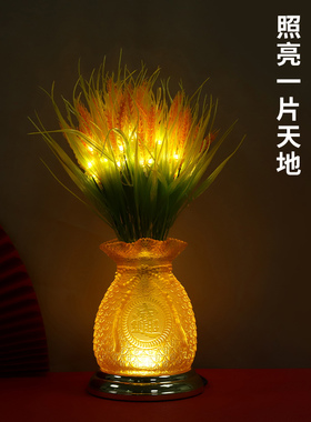 骏澜斋乔迁送礼佳品花卉开业摆件