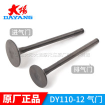 Dayang Motorcycle Original Factory Accessories DY110-12 DY110-12 12N 110-5 125-66 Valve Intake Door Exhaust Door