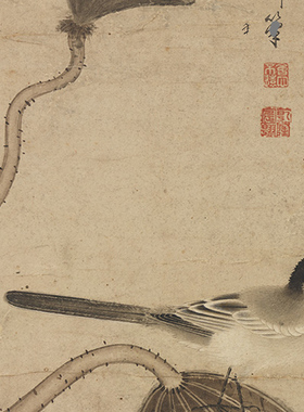 赵孟頫临黄筌莲塘图国画花鸟画