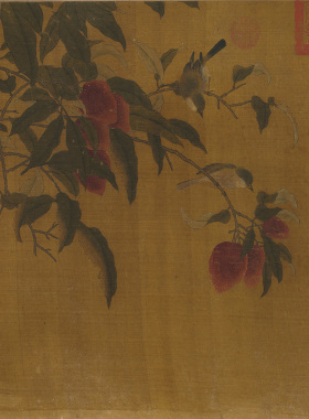初学者临摹高清大图花鸟工笔画