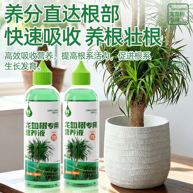 龙血树专用营养液改善黄叶烂根生长慢使用便捷生根壮苗室内盆栽,淘宝优惠券,粉丝福利购,淘宝优惠卷