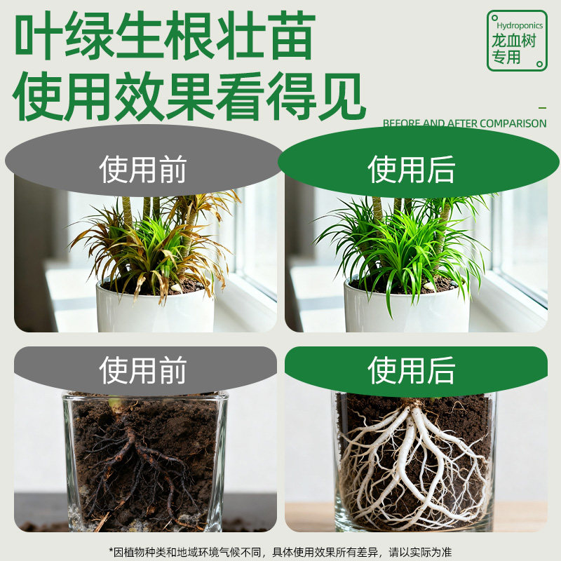 龙血树专用营养液改善黄叶烂根生长慢使用便捷生根壮苗室内盆栽,淘宝优惠券,粉丝福利购,淘宝优惠卷