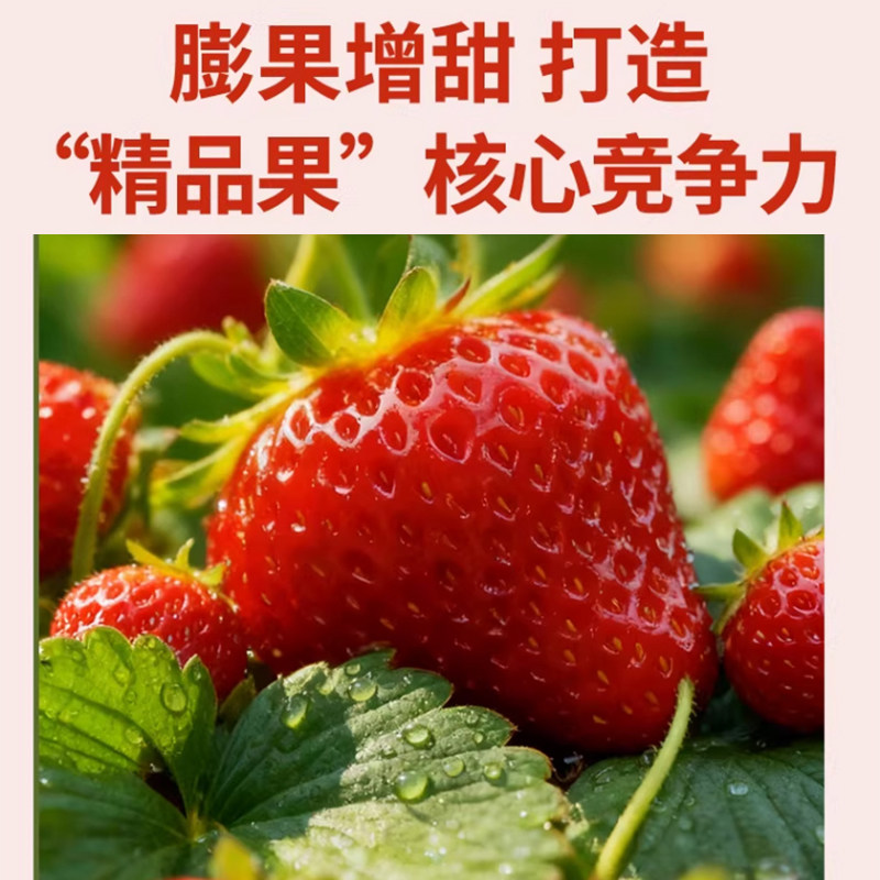 草莓专用肥鱼蛋白水溶肥氨基酸有机肥营养液膨果增甜叶面瓜果肥料,淘宝优惠券,粉丝福利购,淘宝优惠卷