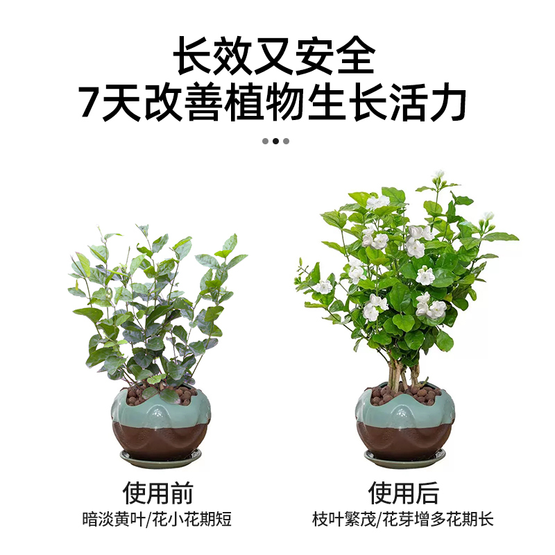 茉莉花肥料专用肥缓释颗粒肥酸性植物家用养花肥盆栽氮磷钾复合肥 - 图3