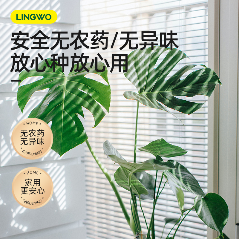 植物营养液通用型免稀释绿植盆栽肥料室内水培绿萝花卉叶面肥喷施 - 图3