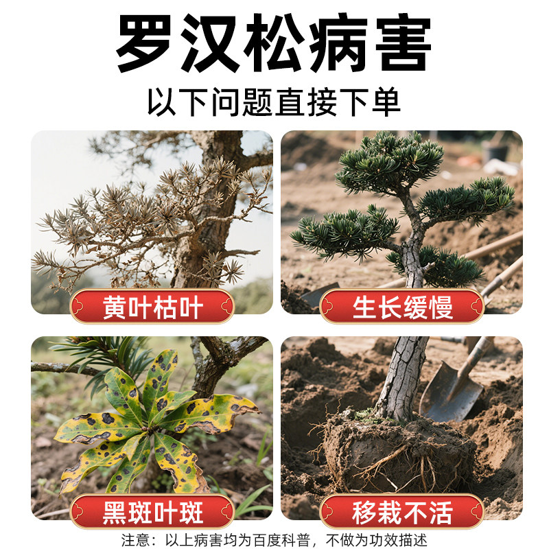 罗汉松专用营养液吊针液改善叶枯病叶子发黄松树黑松迎客松专用肥,淘宝优惠券,粉丝福利购,淘宝优惠卷