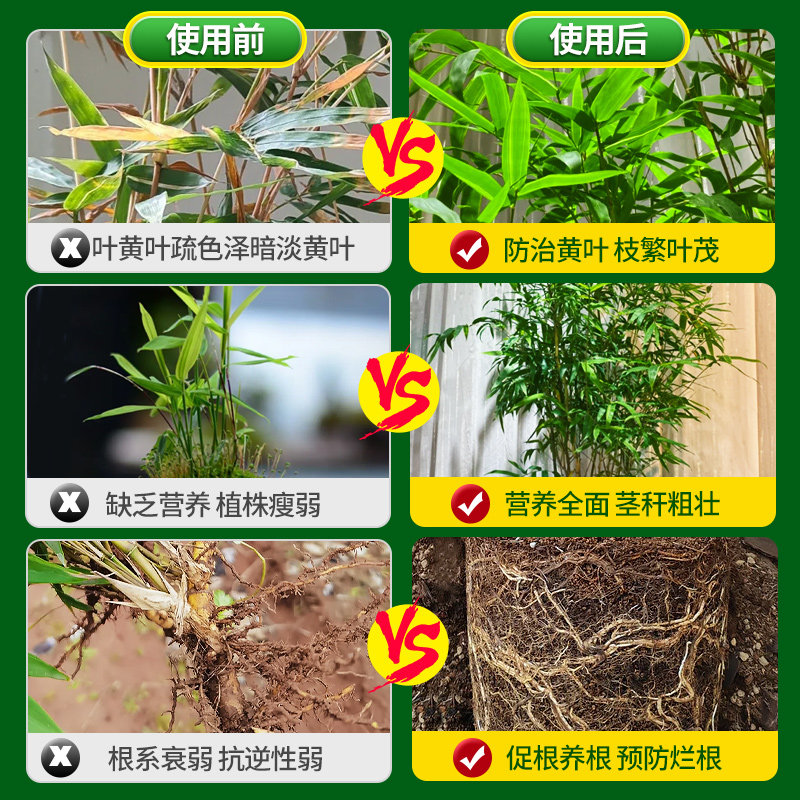 竹子营养液专用水培肥料预防叶子发黄烂根家用盆栽植物通用液体肥,淘宝优惠券,粉丝福利购,淘宝优惠卷