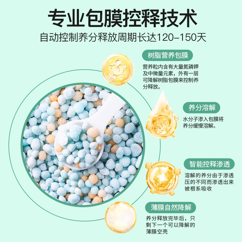 竹子专用肥料缓释肥专治叶子发黄干尖枯叶毛竹家用竹类盆栽颗粒肥 - 图3