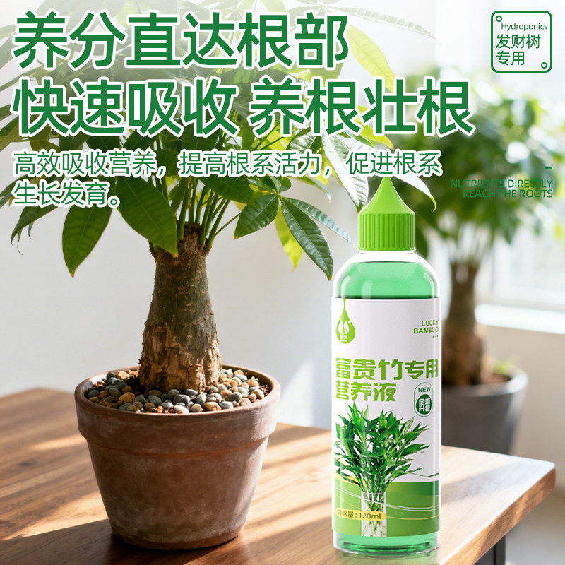 发财树专用营养液防黄叶烂根掉叶水培植物肥料富贵竹室内盆栽通用,淘宝优惠券,粉丝福利购,淘宝优惠卷