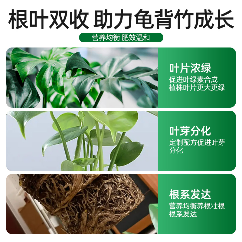 龟背竹专用营养液花肥料家用室内天堂鸟盆栽植物通用型浓缩液体肥 - 图1