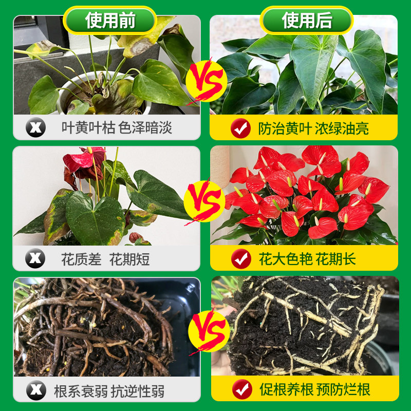 红掌肥料专用肥白掌一帆风顺营养液家庭阳台盆栽植物土水培通用型,淘宝优惠券,粉丝福利购,淘宝优惠卷