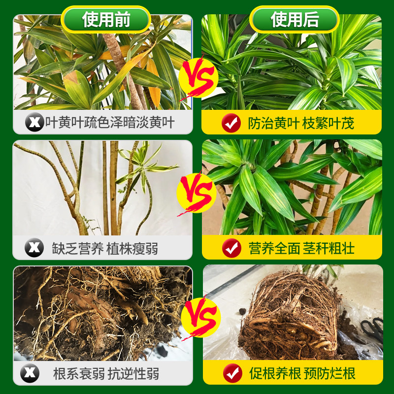 百合竹专用营养液肥料治叶子发黄枯叶养护盆栽绿植通用水溶液体肥,淘宝优惠券,粉丝福利购,淘宝优惠卷