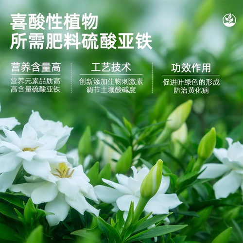 硫酸亚铁花肥料栀子花茉莉喜酸植物营养液杜鹃茶花养花专通用化肥 - 图2