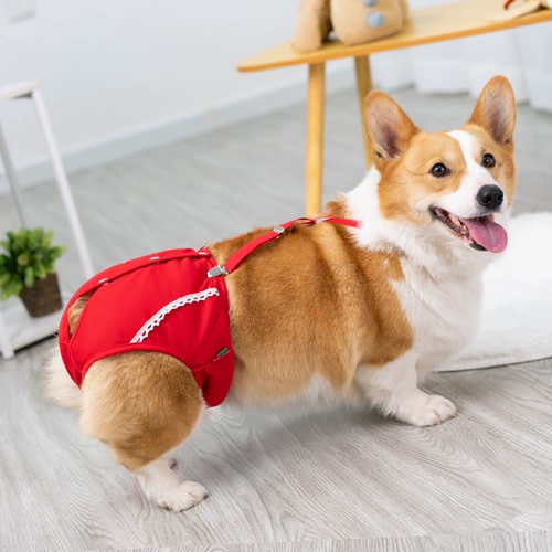 Мальчик -собака физиологические штаны Женщина собака санитарные штаны