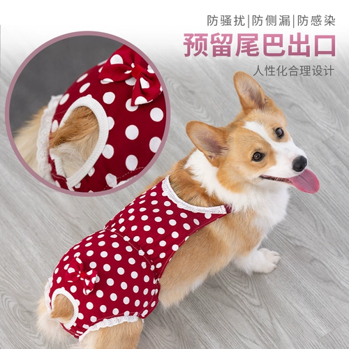 Мальчик -собака физиологические штаны Женщина собака санитарные штаны