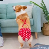 Мальчик -собака физиологические штаны Женщина собака санитарные штаны