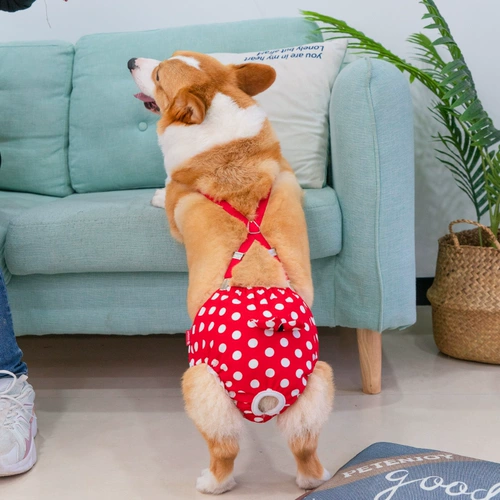 Мальчик -собака физиологические штаны Женщина собака санитарные штаны